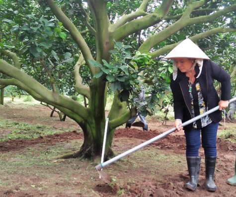 Những tỷ phú nông dân