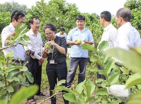 Hiệu quả từ các chính sách khoa học và công nghệ