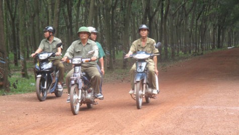 Phú Giáo:
Phát huy vai trò của quần chúng nhân dân trong phòng, chống tội phạm