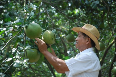 Xây dựng phát triển nông thôn, hướng đến nền sản xuất nông nghiệp hiện đại- Bài 2