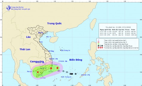 Bão số 8 mạnh cấp 8, có thể giật cấp 10