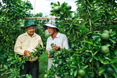 Tìm hướng ra bền vững cho nông sản