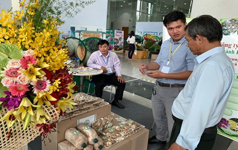 Nông sản, trái cây địa phương: Cần có chiến lược chiếm lĩnh thị trường nội địa