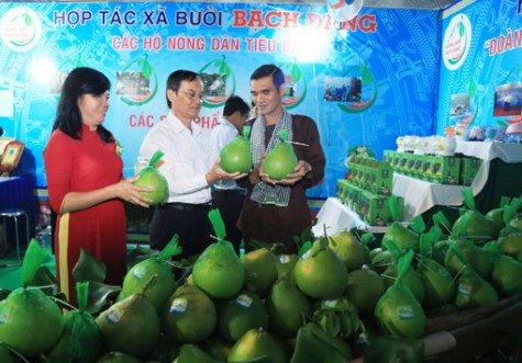 Khai mạc Lễ hội “Hương bưởi Bạch Đằng” lần II – 2019: Đặc sắc, đông đảo người dân đến tham dự