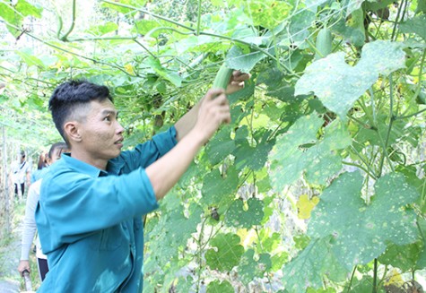 Tuổi trẻ Phú Giáo: Đẩy mạnh phong trào “Thanh niên làm theo lời Bác”