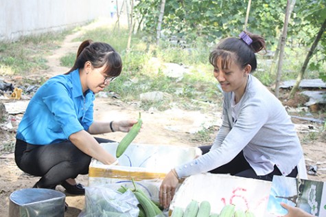 Hội LHPN tỉnh: Tạo động lực giúp phụ nữ khởi nghiệp