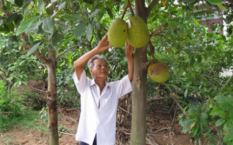 Tình nguyện hiến đất làm đường