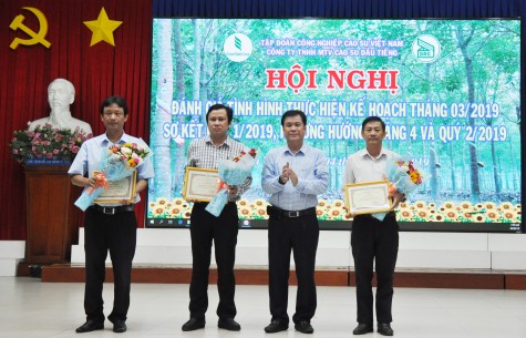 Công ty TNHH MTV Cao su Dầu Tiếng: Thu nhập bình quân của công nhân hơn 8,5 triệu đồng/tháng