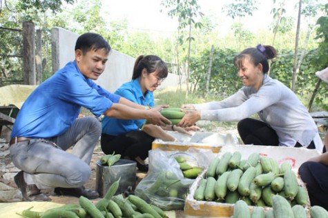 Thanh niên khởi nghiệp: Cần khơi dậy tiềm năng và sự tự tin