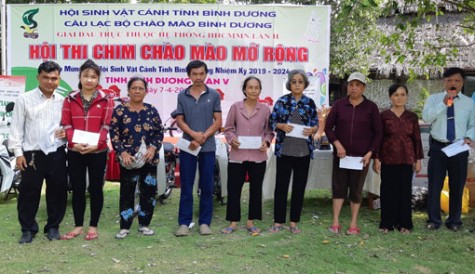 Hội thi chim chào mào Bình Dương mở rộng năm 2019