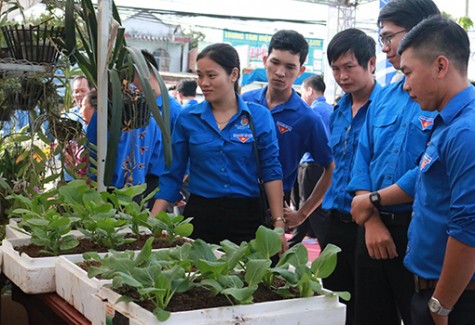 Thanh niên nông thôn tăng gia sản xuất: Bắt đầu từ những mô hình