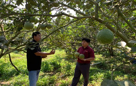 Phát triển du lịch xanh tại xã Bạch Đằng