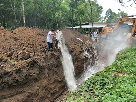 Quyết liệt xử lý ổ dịch tả heo châu Phi ở Phú Giáo