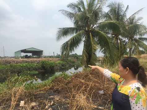 Vụ tố cáo của bà Lê Thị Hạnh (ngụ phường Tân Phước Khánh, TX.Tân Uyên): Công an tỉnh đang xác minh làm rõ