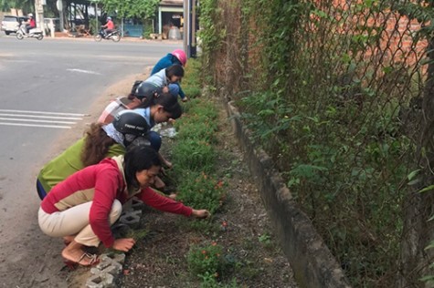 Nhân rộng nhiều phong trào tình nguyện vì cộng đồng