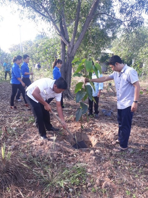 Phường Định Hòa (TP.Thủ Dầu Một): “Trồng cây đời đời nhớ ơn Bác”