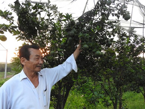 Chuyện làm ăn của “lão nông hữu cơ”