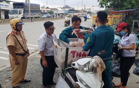 Triển khai nghiêm túc, đồng bộ các giải pháp phòng, chống bệnh dịch tả heo châu Phi