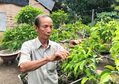 Vẻ đẹp “vầng trăng khuyết”