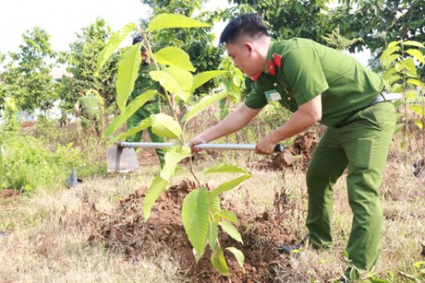 Trồng cây “Vì một Bình Dương xanh”