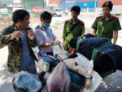 Phòng chống bệnh dịch tả heo châu Phi: Phải đồng bộ, quyết liệt