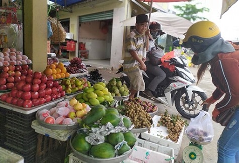 Phường Thái Hòa: Khai thác tốt lợi thế để phát triển