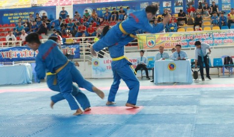 Khai mạc giải vô địch Vovinam miền Đông Nam bộ năm 2019