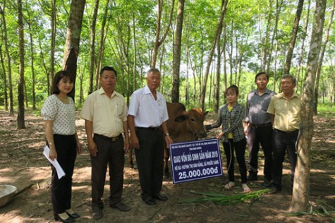 Mô hình dạy nghề, tạo việc làm cho người nghèo dựa vào cộng đồng: Hiệu quả bước đầu