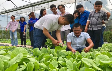 Thành đoàn Thủ Dầu Một: Đối thoại “Hoa hướng dương”, tập huấn chuyển giao khoa học công nghệ