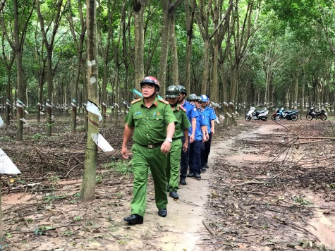 Nông trường Cao su Nhà Nai: Thực hiện hiệu quả công tác phối hợp bảo vệ an ninh trật tự