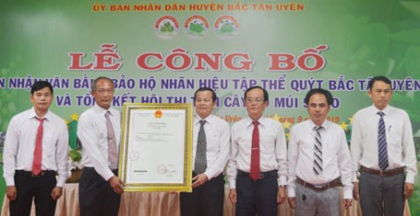 Trao văn bằng bảo hộ nhãn hiệu tập thể cho quýt Bắc Tân Uyên