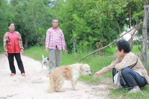 Chú chó đoàn tụ với chủ sau 4 năm trời chờ đợi ở chốn cũ