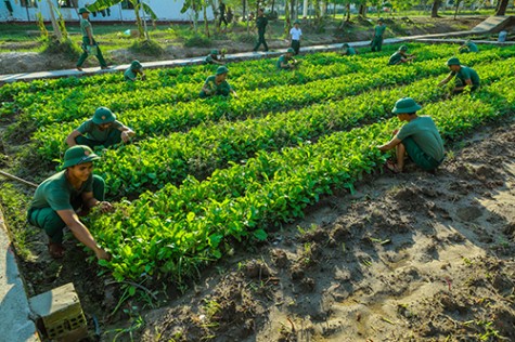 Trung đoàn 31, Sư đoàn 309: Gắn thực hiện cuộc vận động 50 với học tập, làm theo Bác