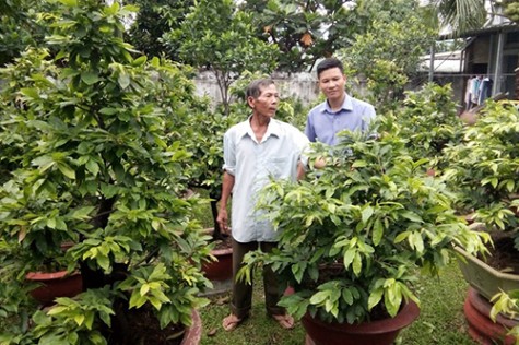 Lan tỏa phong trào cựu chiến binh làm kinh tế giỏi