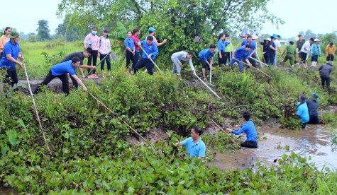 20 năm chiến dịch Thanh niên tình nguyện hè