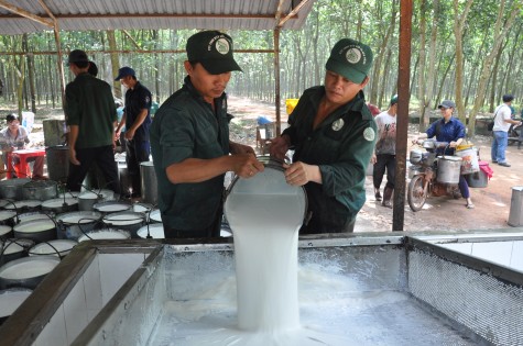 Công ty TNHH MTV Cao su Dầu Tiếng: Phát động phong trào thi đua nước rút hoàn thành kế hoạch 2019