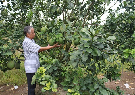 Vươn lên thành tỷ phú từ gian khó