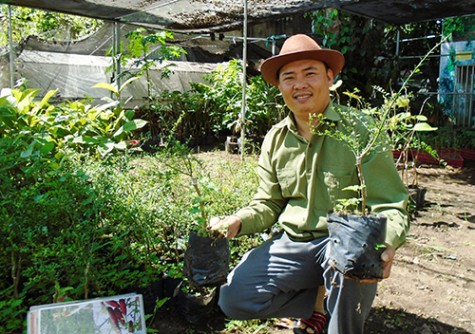 Ông giám đốc “nặng lòng” với cây trồng độc, lạ