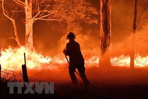 Điện thăm hỏi về các vụ cháy rừng gây thiệt hại lớn tại Australia