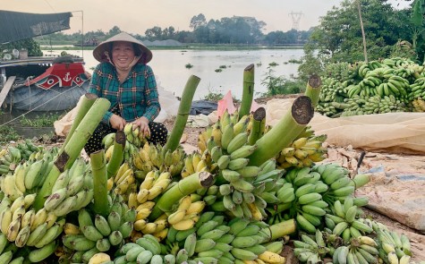 Chuyện về khách thương hồ