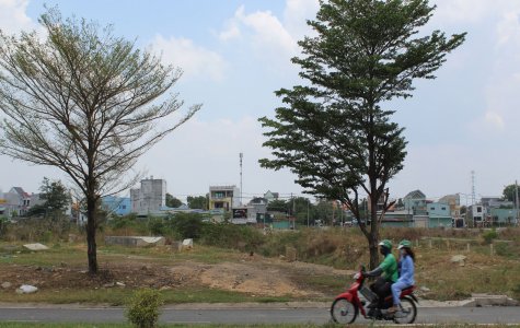 TP.Dĩ An: Giải quyết các “điểm nóng” về chăn nuôi gây ô nhiễm môi trường