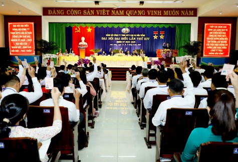 Đại hội Đảng bộ Công ty TNHH MTV Cao su Dầu Tiếng lần thứ XIV, nhiệm kỳ 2020-2025 họp trù bị