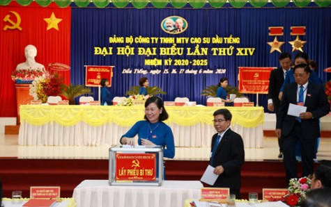 Bầu trực tiếp Bí thư Đảng ủy Công ty TNHH MTV Cao su Dầu Tiếng nhiệm kỳ 2020-2025