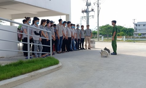 Diễn tập phương án phòng cháy chữa cháy và cứu nạn cứu hộ ở cơ sở