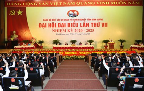 Đại hội Đại biểu Đảng bộ khối Các cơ quan và doanh nghiệp tỉnh nhiệm kỳ 2020-2025 họp phiên trù bị