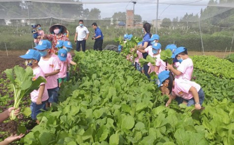 Học kỳ hồng dành cho con em công nhân và hành trình thầy thuốc trẻ làm theo lời Bác