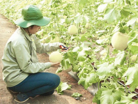 Các chương trình hành động: Thúc đẩy phát triển kinh tế - xã hội