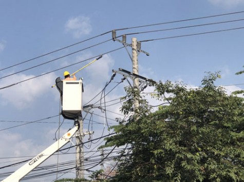 Phòng, chống tai nạn điện mùa mưa: Khẩn trương xóa “mạng nhện” trên cột điện