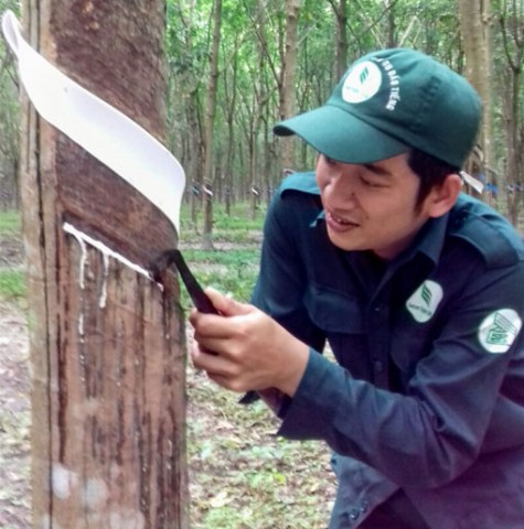 Dương Thành Trung: “Nghề cạo mủ không chỉ khéo léo...”