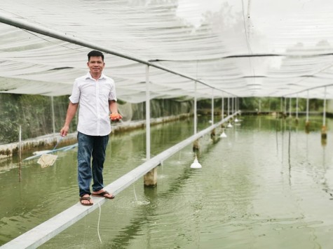 Làm giàu bền vững từ cá cảnh